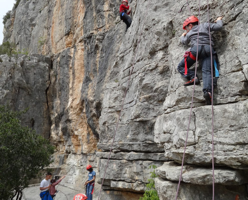 Les enfants s'amusent et sont fiers en escalade en weekend immersion nature