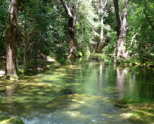 ressourcement cevennes