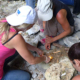 journée multiactivités nature Montpellier